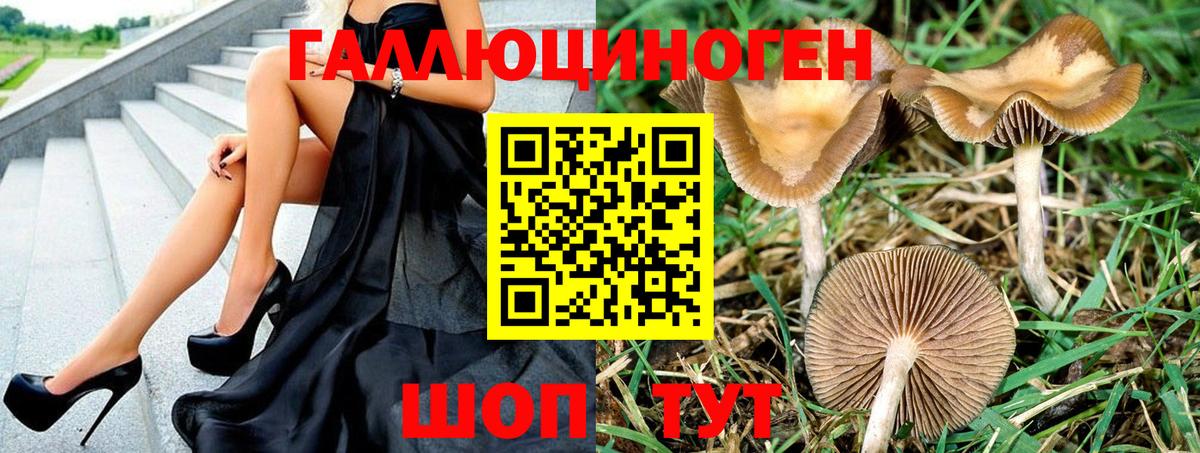 Галлюциногенные грибы GOLDEN TEACHER Красноуфимск