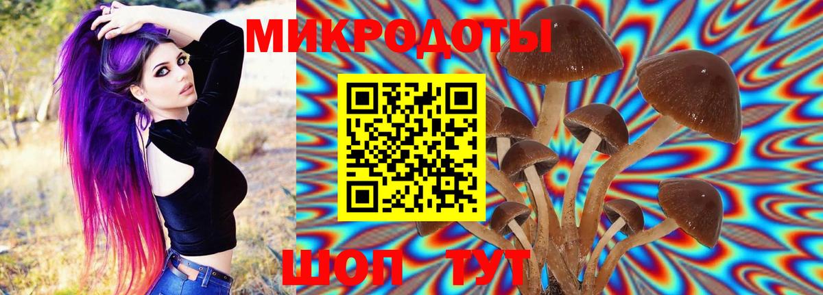 Псилоцибиновые грибы мицелий Красноуфимск